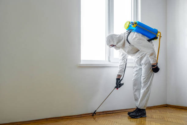 Best Residential Pest Control  in Troy Hills, NJ